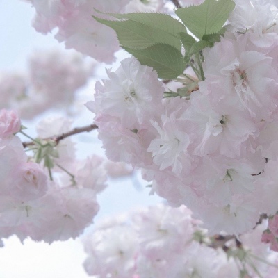 Furry绘画细节技巧福瑞群